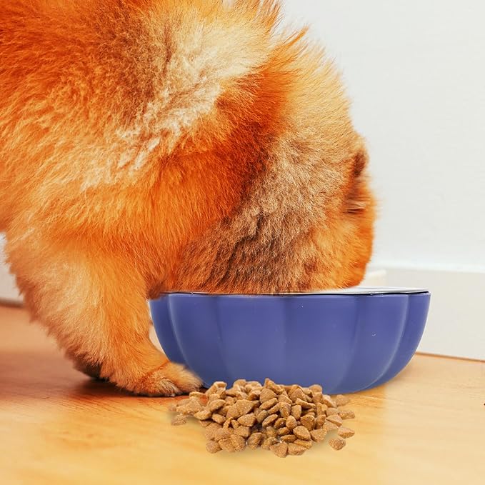 OUNONA Hanging Stainless Steel Dog Food Bowl Large Sturdy Feeding Supply Blue Convenient Pet Feeder for Puppies and Dogs