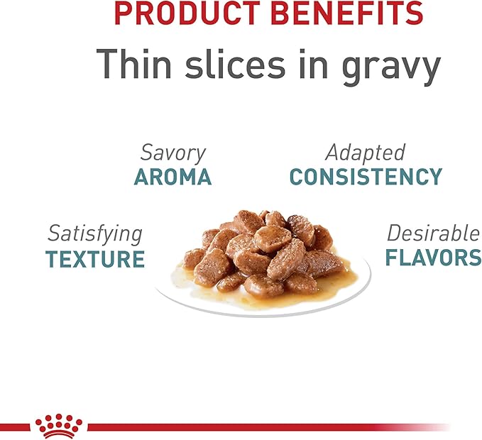 Royal Canin Feline Care Nutrition Hairball Care Adult Thin Slices in Gravy Cat Food, 3 oz (Pack of 6)