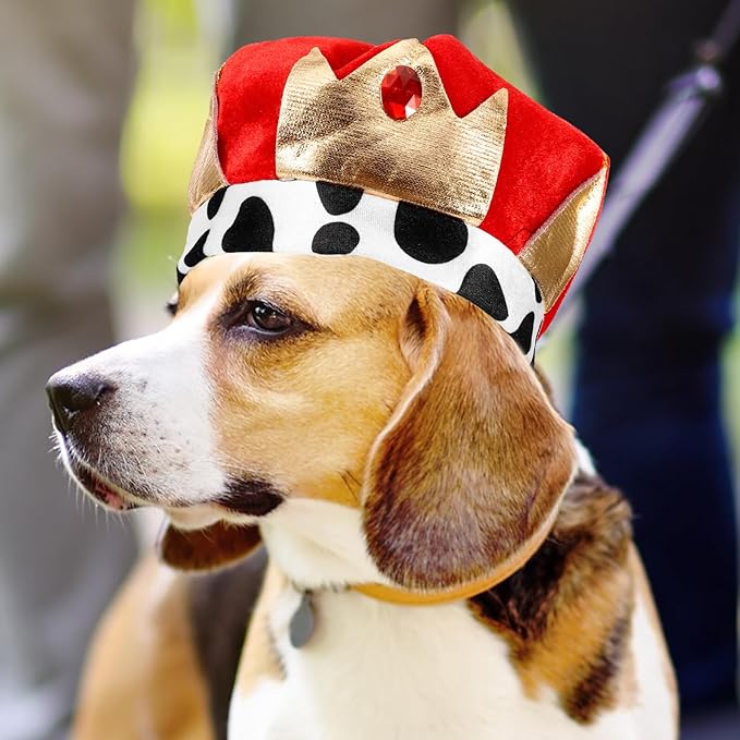 Decorative Pet Crown Dog Birthday Hat Party Headdress Lovely Festival Pet Supplies Adjustable One Size for Cats and Dogs