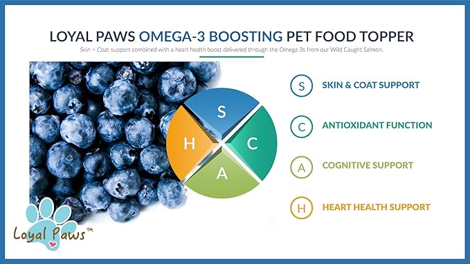 Wild Salmon Blend Raw Food Topper for Cats and Dogs, 6 oz, Natural Omega 3 Boost - 100% USA Made, Natural Dog Food Toppers