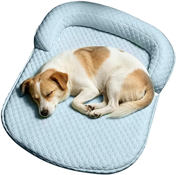 Pet Chill Mat, Washable Rest Carpet, Relaxation Gear with Leisure Style, Utility Aid with Porch Use, Lifestyle Resource, Accessories for Families Friends Owners Trainers Breeders Travelers Gatherings