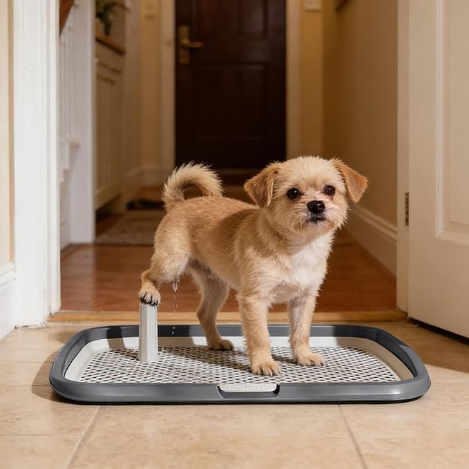 Dog Potty Tray with Guide Pillar, Indoor Pet Pee Pad Holder Duty, Removable Washable Puppy Training Toilet for Housebreaking Supplies Small Medium Dogs (Grey-L)