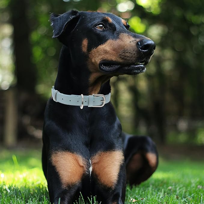 Kichvoe Pu Adjustable Dog Collar for Outdoor Use, Light Blue XL Pet Neck Ring, Soft Pu Material Puppy and Cat Collar, Dog Safety Supply for Sensitive Skin