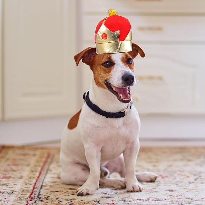 Angoily Dog Cat Crown Hat Adjustable Decorative Puppy Party Pet Supplies Halloween Costume Headwear for Small Medium Pets