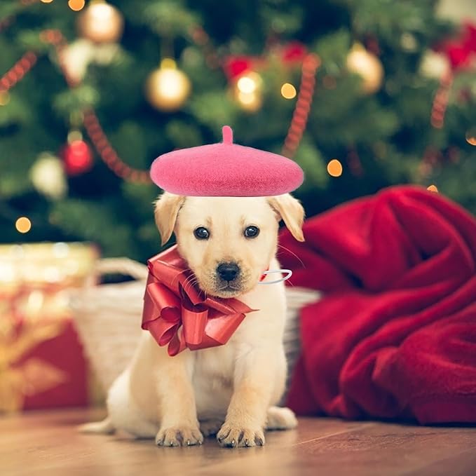 UPKOCH Pet Beret Hat for Dogs and Cats, Small Rose Party Headwear, Cute Puppy and Kitten Photo Costume Accessory for Pet Supplies