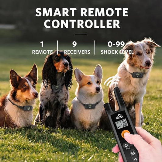 DOG CARE Shock Collar for Dogs - Dog Training Collar with Remote, 3 Training Modes, Rainproof, Security Lock, Long Remote Range, Rechargeable E-Collar for Small Medium Large Dogs All Breeds