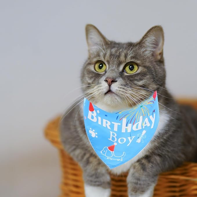 Pet Birthday Hat and Bandana Set, 3pcs Dog Party Accessories in Light Blue, Decorative Puppy Birthday Supplies for Pet Celebration