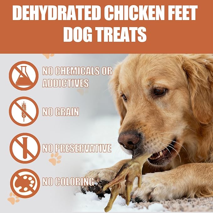 Natural Nail-Free Chicken Feet Dog Chews - High Protein No Additives Single Ingredient Pet Snacks