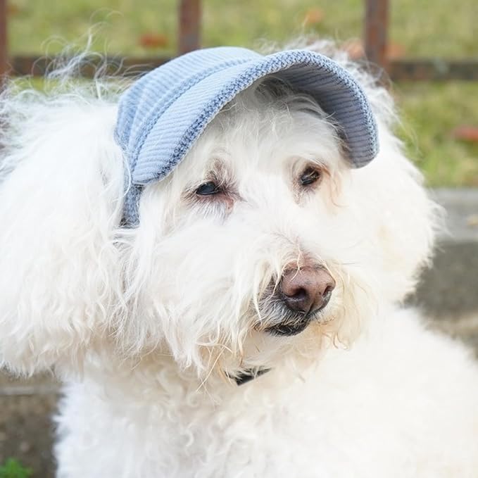 Dog Sun Hat, Adjustable Dog Baseball Cap with Ear Holes, Pet Supplies for Outdoor Picnic, Traveling, Walking, Hiking