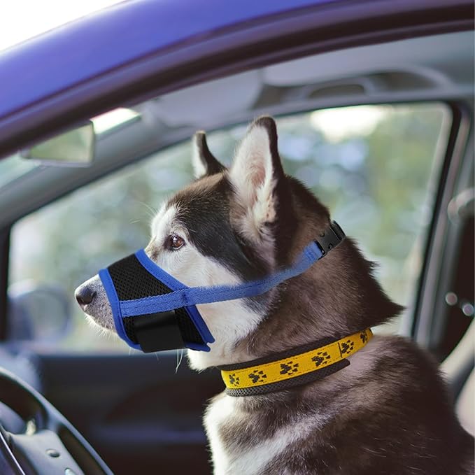 Toyvian Adjustable Puppy Muzzle Blue M 14-20cm Breathable Dog Mouth Cover Anti-Barking Walking Mask Small Dog Chew Prevention Pet Supplies