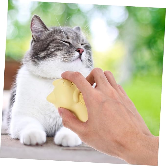 Rechargeable Cat Grooming Brush with Steam Technology Pet Hair Massage Cleaning Tool for Indoor Cats Gentle Bristles for Spa-like