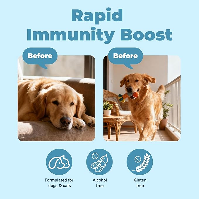 Relief Dog Allergy & Ear Infection — Quercetin for Dogs + Bromelain with Turkey Tail Mushroom & Probiotics — Allergy Medicine for Dogs, Itch, Skin, Hot Spot 120 Chews