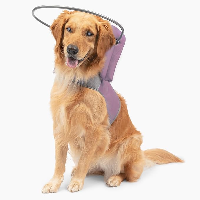 Muffin’s Halo® – The Original Blind Dog Halo | Harness & Bumper Collar Accessory for Safe Navigation & Confidence – Pink, Size 5