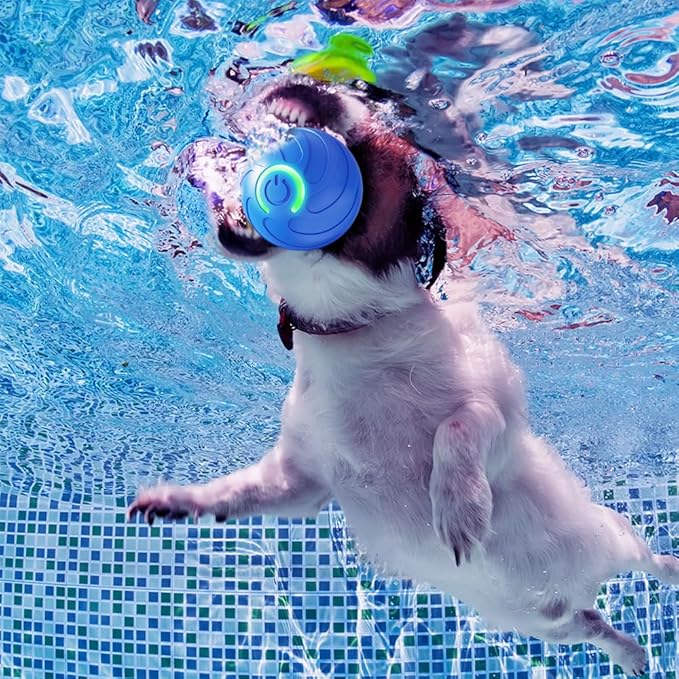 2025 New Dog Ball for Large Dogs, 2PCS Interactive Dog Ball Toy Vibrating Balls, Smart Shaking Pet Bounce Electric Balls Automatic Moving Pet Toy for All Dogs (#B1)