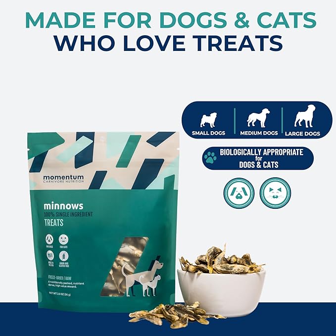 Momentum Carnivore Nutrition Freeze-Dried Minnows Dog Treats & Cat Treats – Single-Ingredient, High-Protein, Grain-Free, Natural Whole-Fish Treat – Made in USA – 2 oz Bag