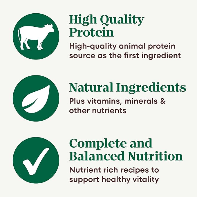 Nutro Adult Natural Grain Free Wet Dog Food Pate, Adult Dog Food Wet Recipe, Tender Beef Recipe, 3.5 oz. Trays (24 Count, Pack of 1)