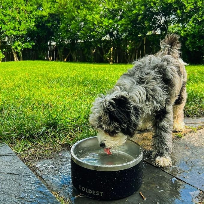 Coldest Dog Bowl - Anti Rust Metal, Non Slip, 3 Layers Insulated Stainless Steel Dog Bowls - Spill Proof & Heavy Duty - Water Bowl for Dogs, Cats & Pets, Dish Washer Safe (42 oz, Solar Yellow)