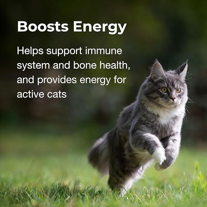 PetAg Vitamin & Mineral Gel Supplement for Cats - 3.5 oz - Provides Basic Daily Vitamins & Minerals for Cats 4 Months and Older - Easy to Digest (Pack of 2)