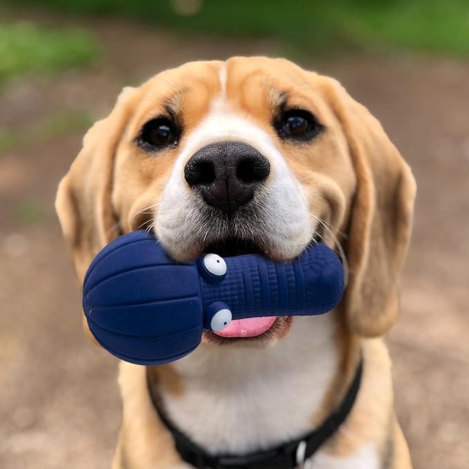 Dog Squeaky Toy Interactive Toy Cleaning Molar Pet Supplies