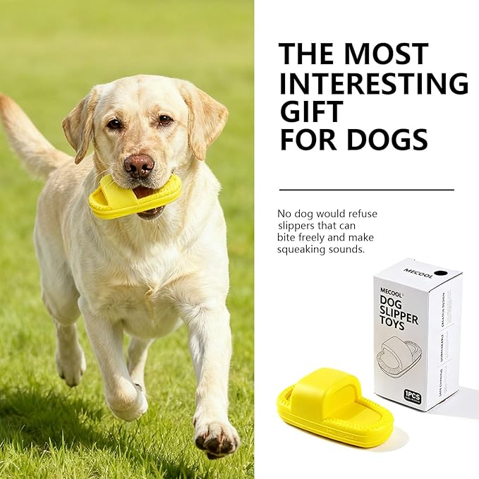 MECOOL Dog Toy 2PCS Unbreakable Slippers Squeaky Dog Toys for Teehing Chewing Size for Medium and Samll Breeds,Yellow and Green