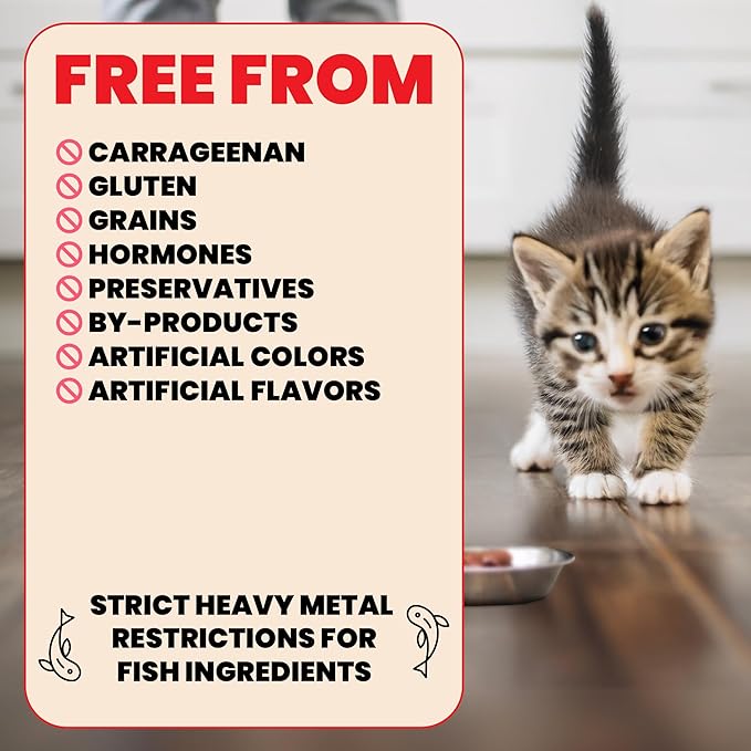 almo nature HQS Natural Wet Cat Food Chicken Recipe in Broth - Kitten, Grain-Free, 2.47 oz (Pack of 24)