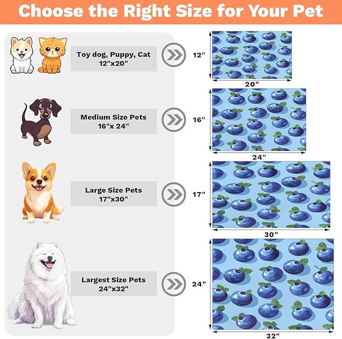 Blueberries Dog Food Mat for Floors Absorbent Dog Bowl Mat for Food and Water Dispenser Quick Dry Cat Food Placemat Pet Supplies 24" x 32", Blue Fruit