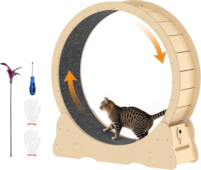 Cat Exercise Wheel Indoor, Quiet Medium Cat Treadmill with Detachable Carpeted Runway & Lock, 38.2” Exercise Running Wheel for Pet’s Health and Entertainment, (Natural, M)