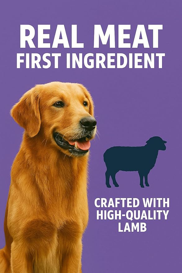CountryMax Maggie & Duke's Tender Bites in Gravy Canned Dog Food, 14 oz Cans – Premium Wet Food for Dogs, High Protein, Grain-Free, Natural Ingredients (24 Pack, Lamb Feast)