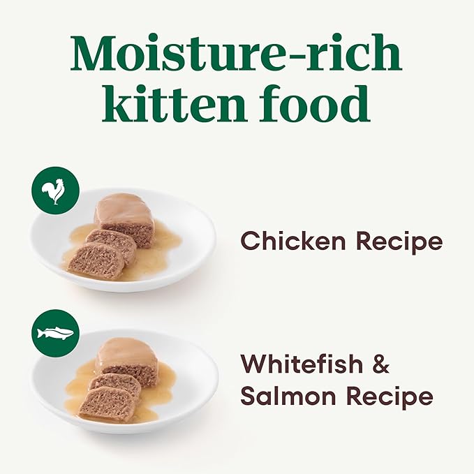 Nutro Perfect Portions Wet Kitten Food Pate Chicken Recipe and Whitefish and Salmon Recipe, Pate Wet Cat Food, 2.6 oz. Twin-Pack Trays, 12 Count, 24 Servings