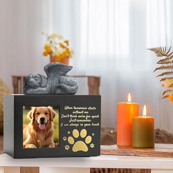 Dog and Cats Ashes Container Pet Container with Resin Angelic Figurine and Personalizing Memorial Feature Supply Box for Cats and Dog