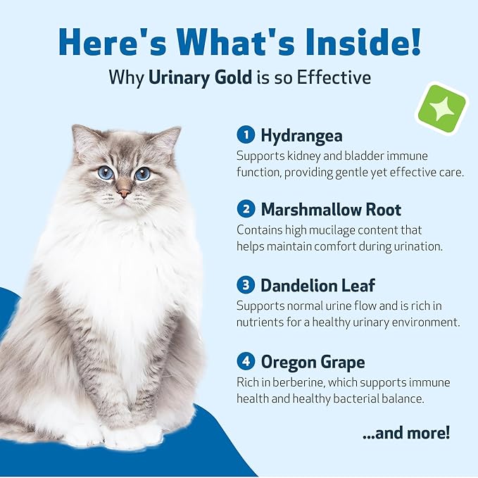 Pet Wellbeing Urinary Gold for Cats - Vet-Formulated Multi-Herb Urinary Tract Support - Feline Bladder Health & Urinary System Wellness - Holistic Cat Supplement - Liquid Formula (4 fl oz (118 ml))
