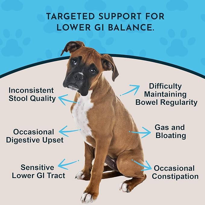 Animal Essentials Colon Rescue - Dog Stool Softener, Organic Slippery Elm Bark, Fast Acting Anti Diarrhea Liquid Drops for Dogs & Cats, Natural Constipation Relief Supplement for Pets - 2 fl oz
