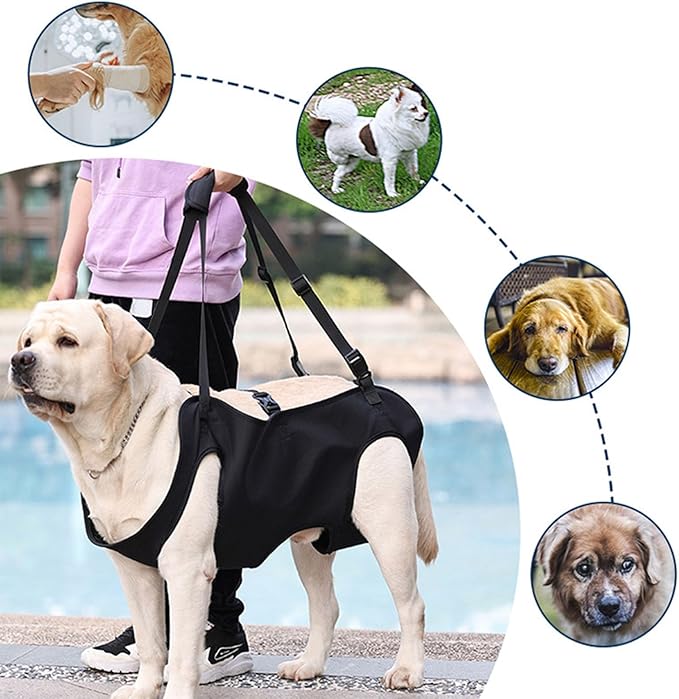 Dog for Large Leg Lift Harness for Injured Elderly Dogs Disabled Pet Supplies Lift Harness