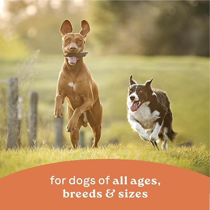 Canidae All Life Stages Wet Dog Food, Chunky Stew Toppers, Chicken & Vegetable Recipe, 12.7 oz. (Case of 6)