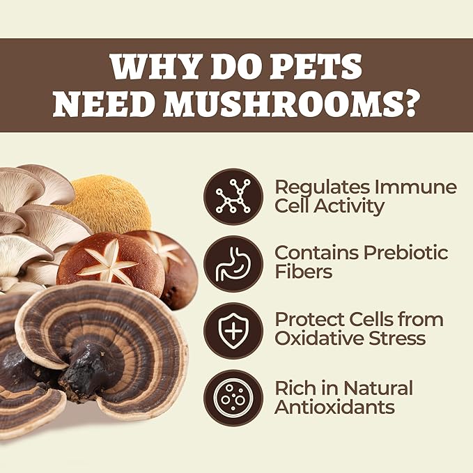 Wellix Mushroom Powder Supplements for Dogs & Cats - Lumps & Bumps Dog Supplement - 8 Types of Mushrooms, Turkey Tail Mushroom for Dogs for Immune, Digestive, Kidney Support - Dog Food Toppers