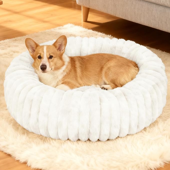 Washable Small Cat Dog Bed,Calming Anti Anxiety Round Donut Dog Bed,Fluffy Puppy Dog Beds for Medium Small Dogs,Cute Kitten Cat Beds for Indoor Cats,Comfort Pet Bed for Medium Size Dogs(White,M)