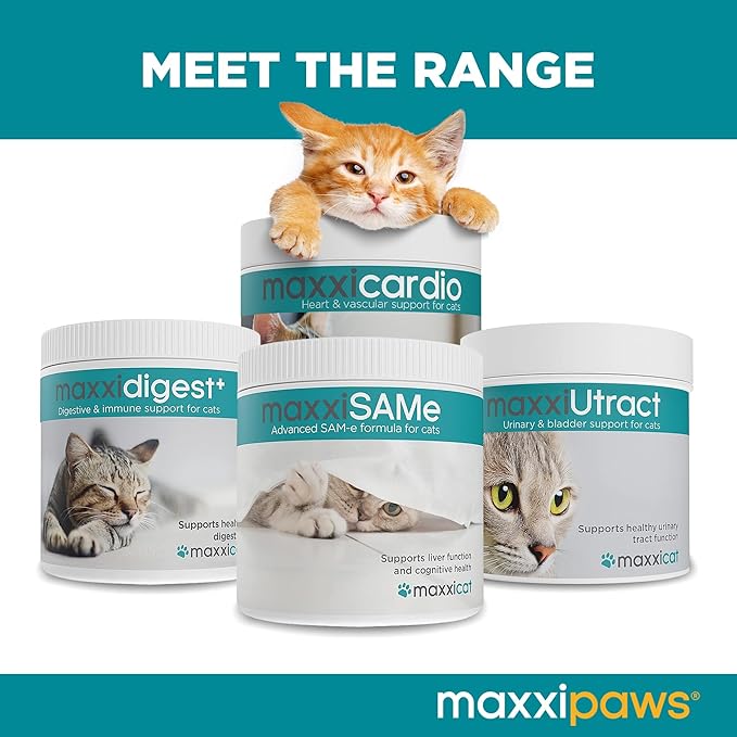 maxxipaws maxxicardio Heart & Cardiovascular Powder Supplement for Cats, 3.2oz
