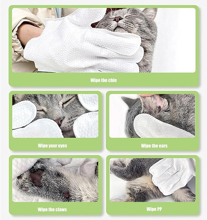 6PCS/Bag Pet for Dog Cats Gentle Extracts NoRinse Design Easy to Use Wipe Gloves for Grooming Removal Pet for Daily Care