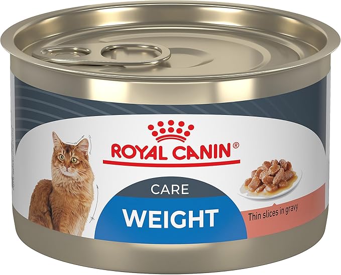Royal Canin Feline Care Nutrition Weight Care Adult Thin Slices in Gravy Cat Food, 5.1 oz (Pack of 24)