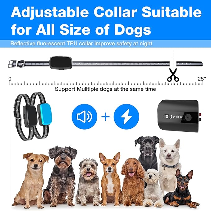 Underground Dog Fence System - Extremely Professional Electric Fence for Dogs for Easy Setup and Waterproof, Wireless Collars with Tone/Shock for 2 Dogs