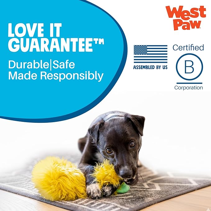 WEST PAW Rowdies Olaf Durable Plush Dog Toy with Reinforced HardyTex Fabric Hand Sewn Seams and Engaging Squeaker for Chewers and Cuddlers - Seafoam