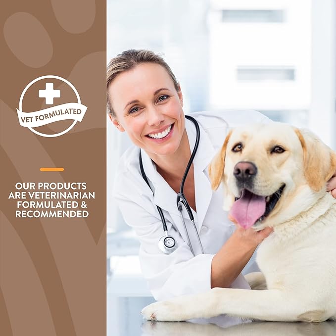 NaturVet – Advanced Probiotics & Enzymes – Supports and Balances Pets with Sensitive Stomachs – 240 ct & All-in-One Dog Supplement - for Joint Support, Digestion, Skin, Coat Care – 240 Soft Chews