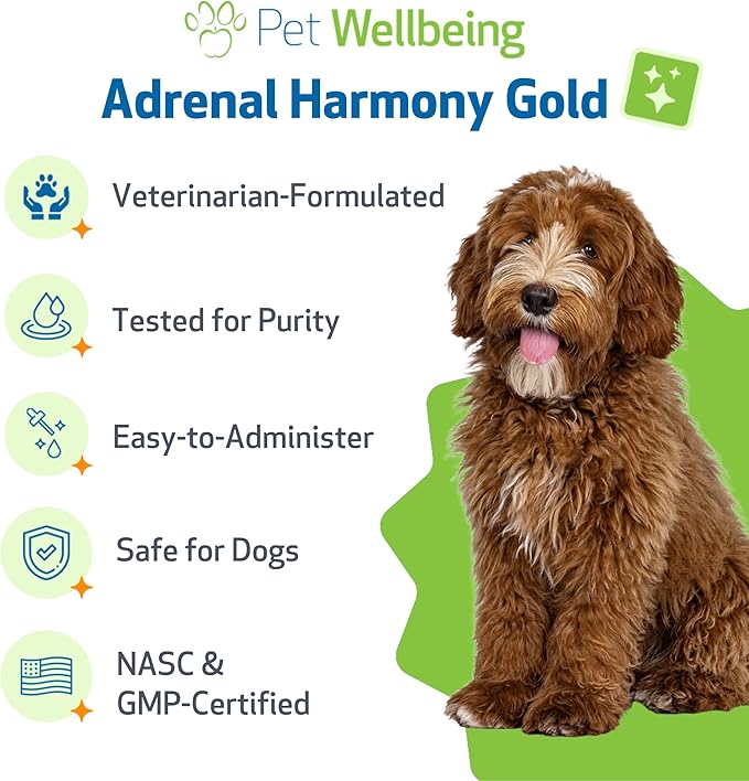 Pet Wellbeing Adrenal Harmony Gold for Dogs - Supports Adrenal Function & Normal Cortisol Levels with Ashwagandha & Bacopa - NASC Certified & Vet-Formulated - 2 oz Liquid Formula