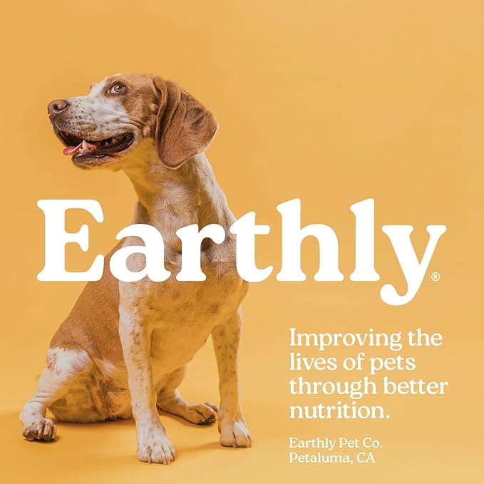 Earthly Pill Buddy Naturals - Chicken Recipe Pill Hiding Treats for Dogs - Make A Perfect Pill Concealing Pocket Or Pouch for Any Size Medication - 90 Servings