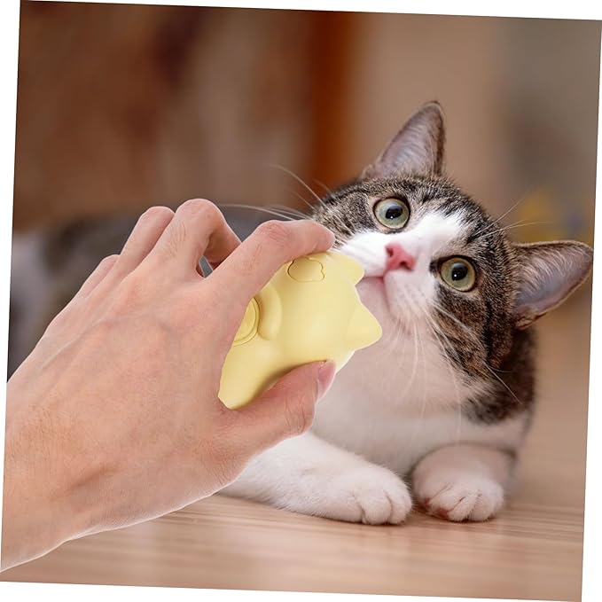 Rechargeable Cat Grooming Brush with Steam Technology Pet Hair Massage Cleaning Tool for Indoor Cats Gentle Bristles for Spa-like