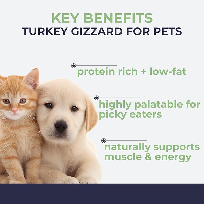 Momentum Carnivore Nutrition Freeze-Dried Turkey Gizzard Pet Food Topper – Single-Ingredient, All-Natural Topper – High-Protein for Dogs and Cats, Grain-Free and Made in The USA– (3.75 oz Bag)