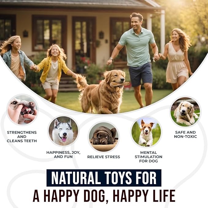 Coffee Wood Dog Chew Toys Size Large, 100% Natural Coffeewood Toys for Dogs, Dental Health & Reduces Boredom, Dog Wood Toys Supports Mental Stimulation & Training