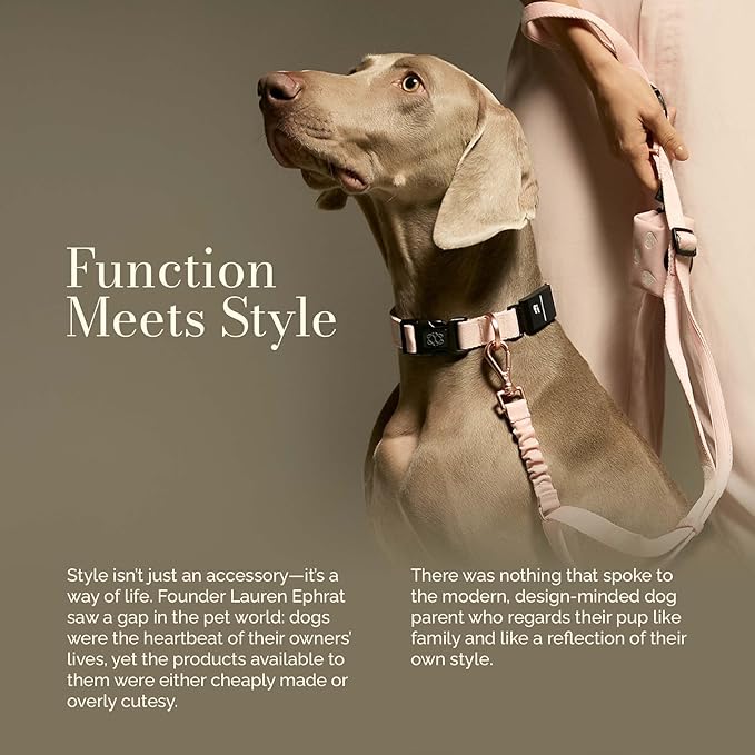 The DOGISTRY - Fi Sweetheart Collar - Luxury Design Meets Smart Tech - Crafted for Fi Series 3/3+ - Seamless Style & Craft