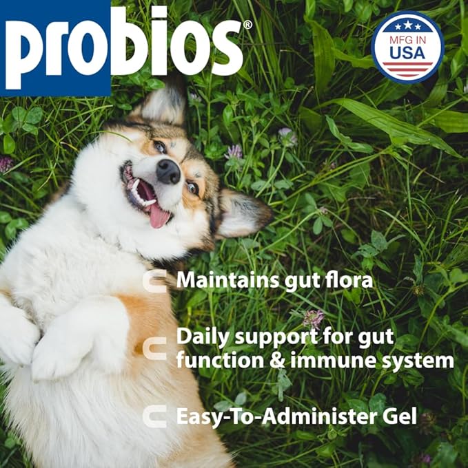 Probios Probiocin Oral Pet Gel for Dogs and Cats, Probiotic Supplement for Digestive & Immune Support, 15 g Tube