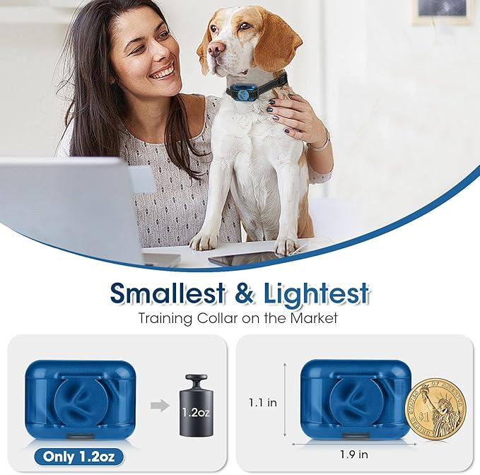 Small Shock Collar for 2 Dogs, Ultra-Light & Thin Shock Collar for Small Dogs 5-15lbs, Beep, Vibration and Shock with Safety Lock, IPX7 Waterproof, Blue and Green